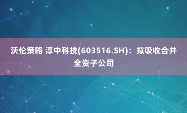 沃伦策略 淳中科技(603516.SH)：拟吸收合并全资子公司