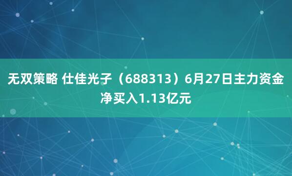 无双策略 仕佳光子（688313）6月27日主力资金净买入1.13亿元